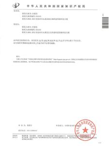 patent certificate-High performance long life labyrinth regulator (2)